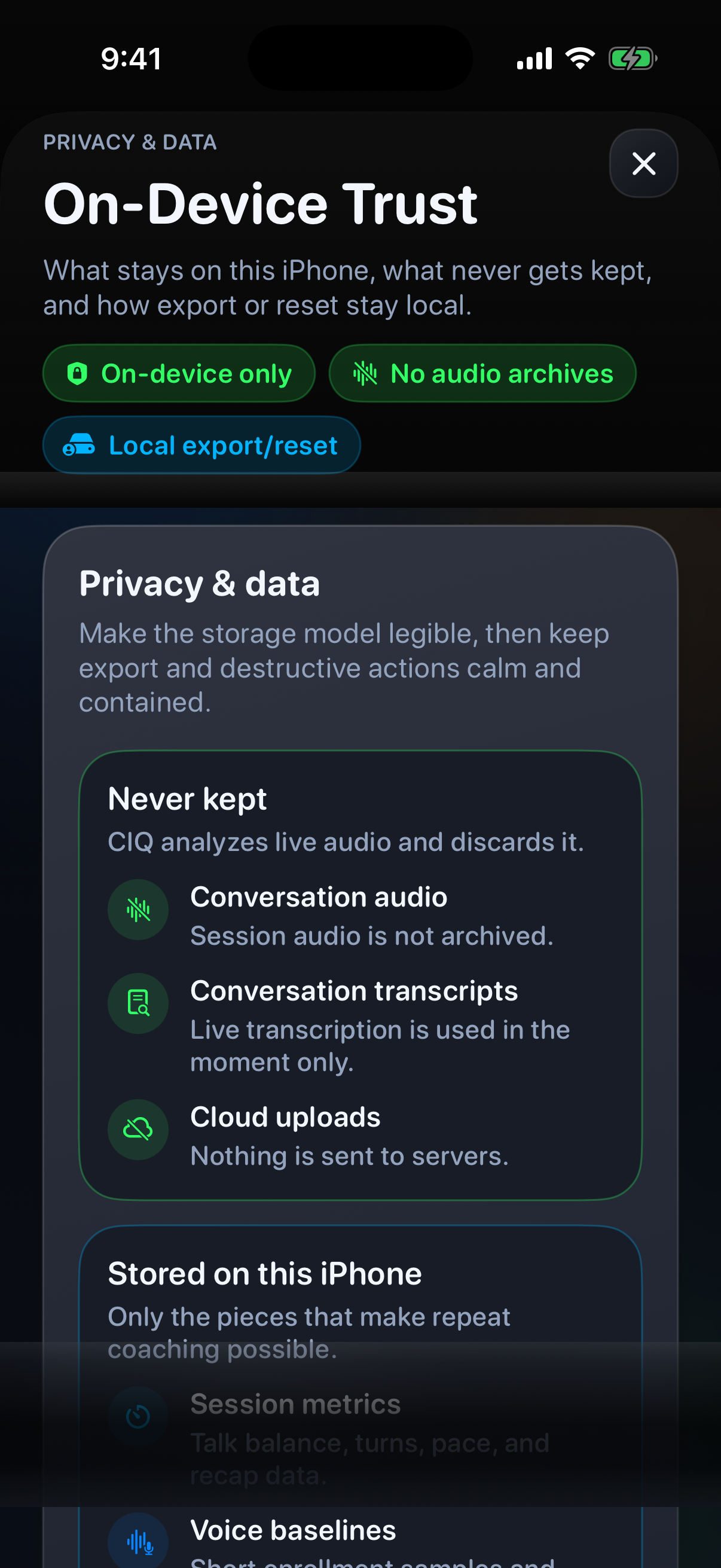 Privacy screen showing local storage details plus export and delete tools